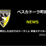 【ペスカドーラ町田】孵化したばかりのドーラくん 早速ステイホーム